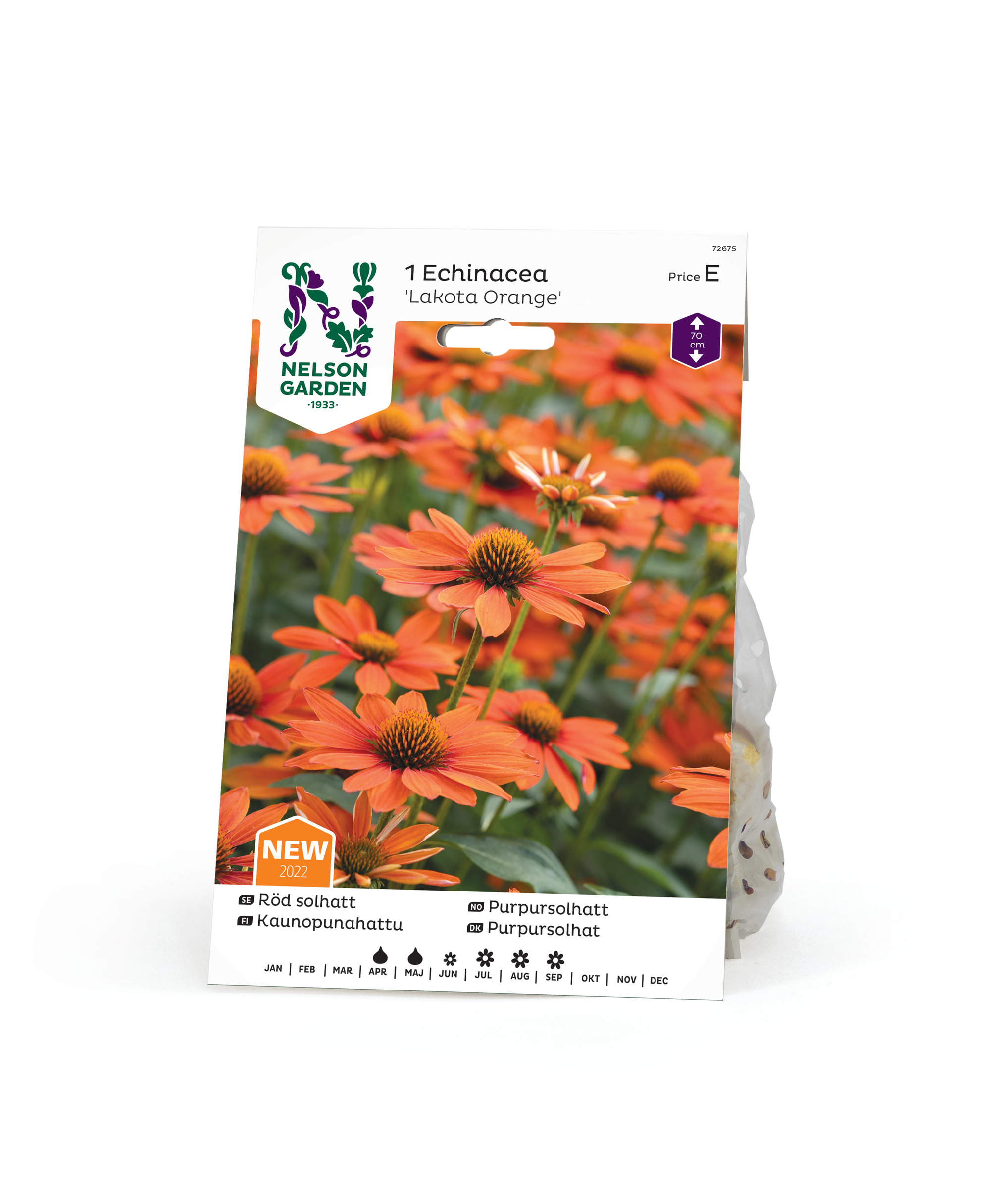 Orange Solhat, Lakota Orange, Echinacea 1st