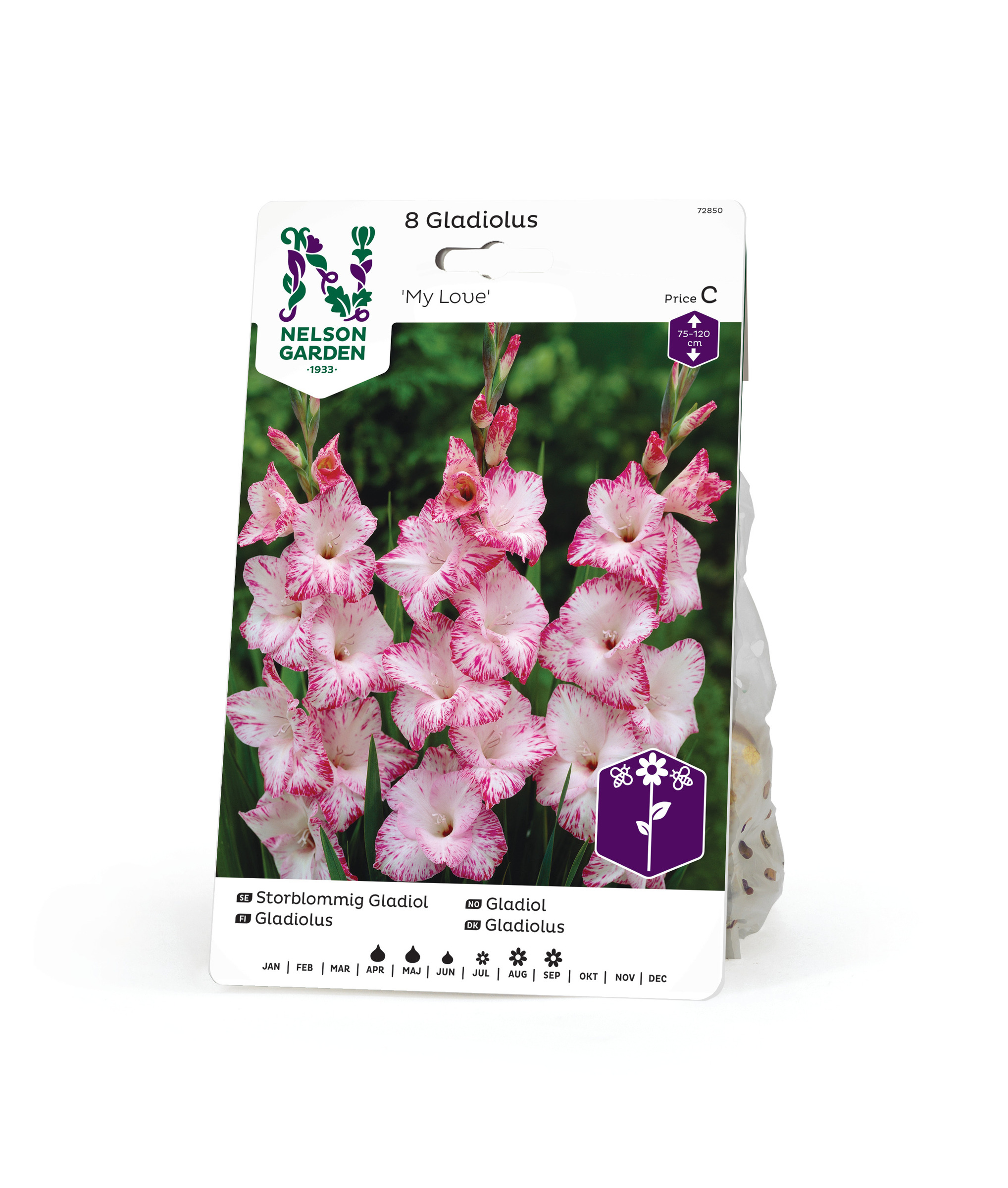 Gladiol, Storblom. My Love, vit m rosa 8st
