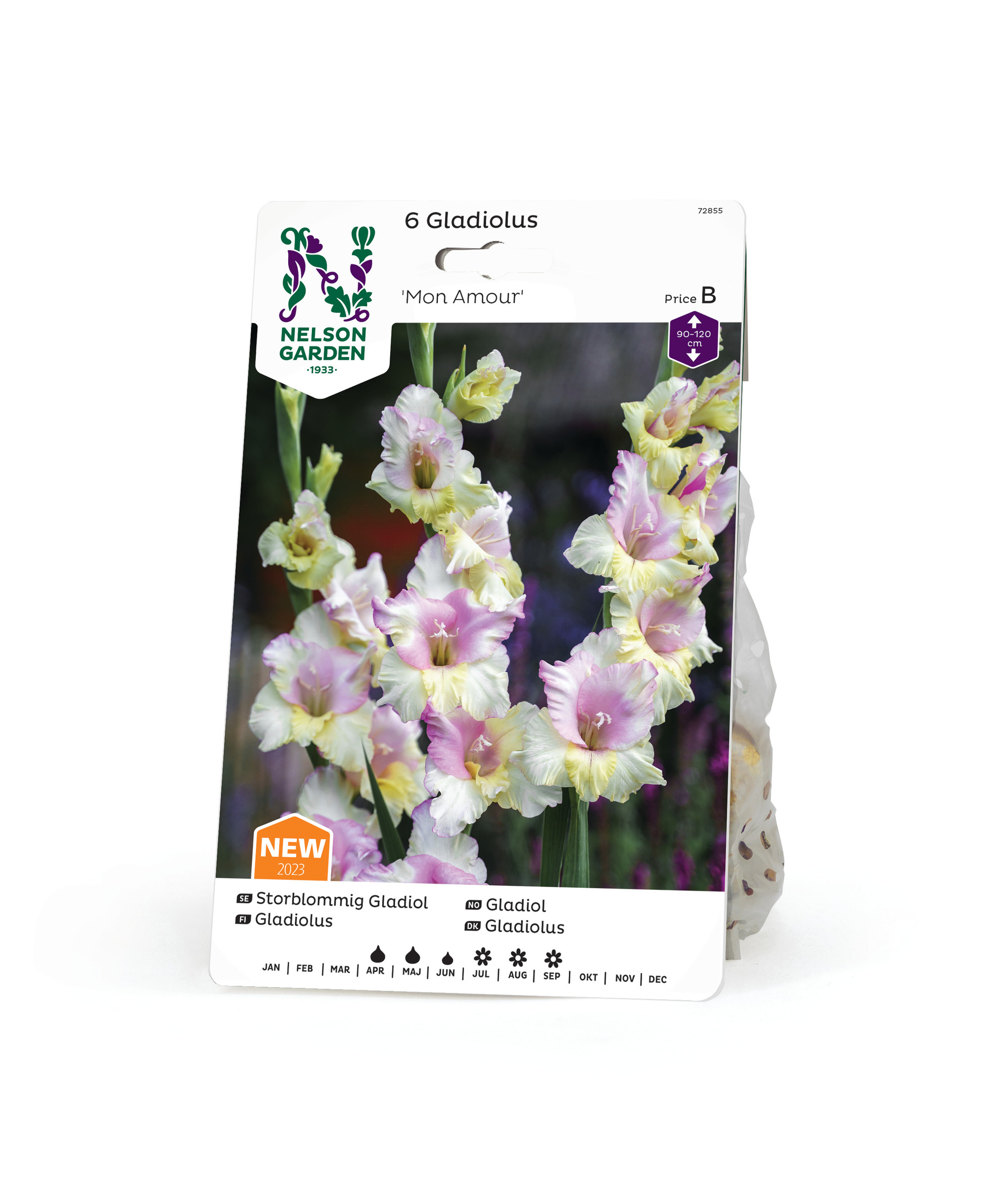 Gladiol, Storblom. Mon Amour, rosavit 6st