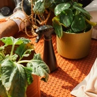 Fiskars Blomspruta 0.3 L svart