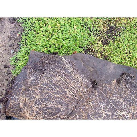 BioWeedStop 200 g/m2 2x100m (brun)