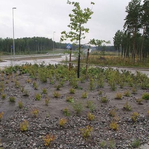 BioWeedStop 200 g/m2 2x100m (brun)