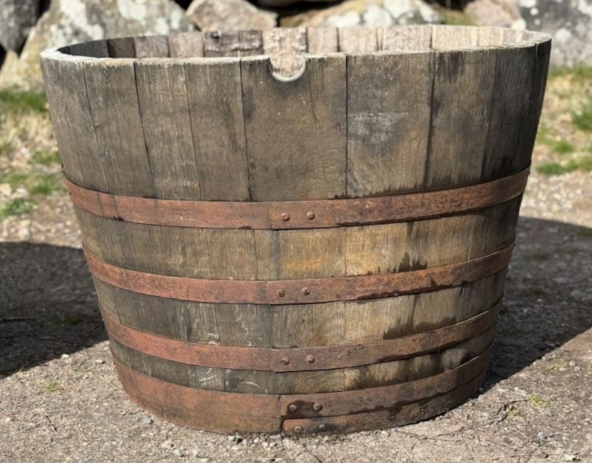 Halvt whiskyfat Ek 250 liter - hög modell