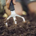 Fiskars Xact handluckrare