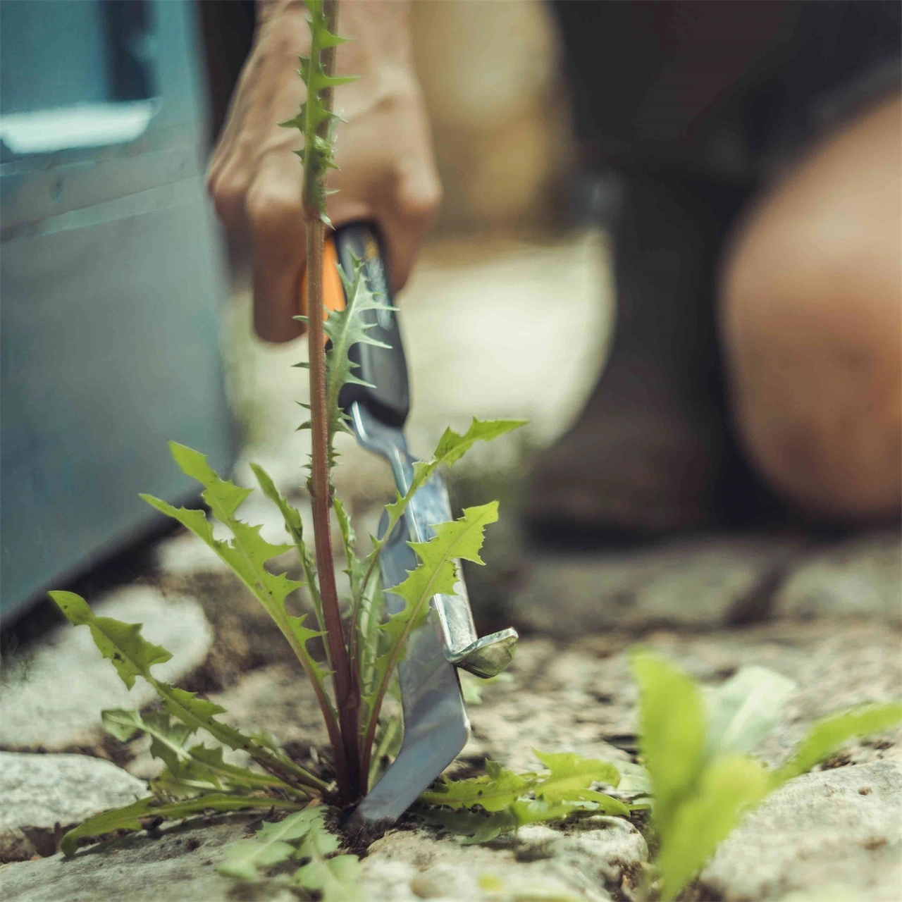 Fiskars Xact ogräsborttagare