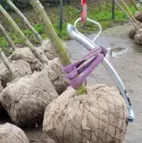 Lyftkrok för trädklump 250kg