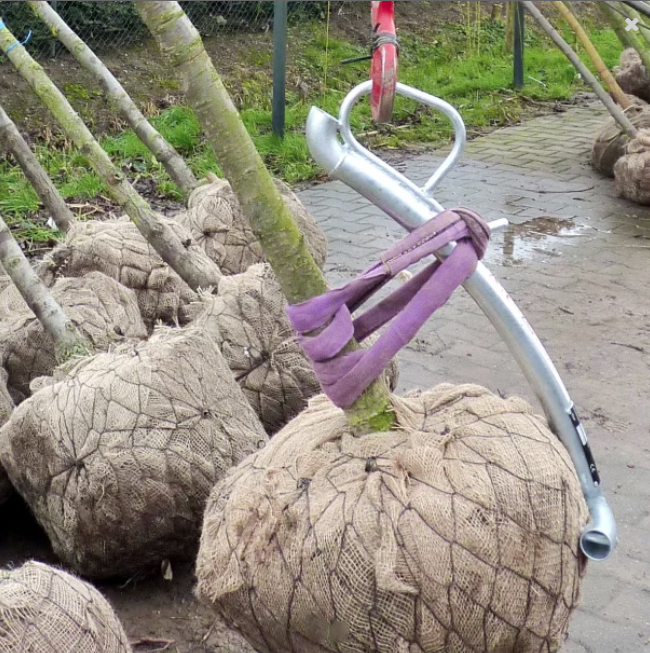 Lyftkrok för trädklump 250kg